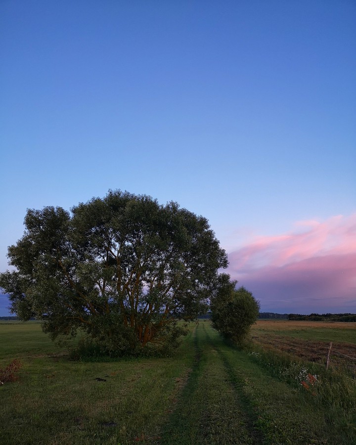 summer evening