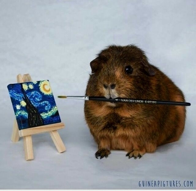 ＦＨ