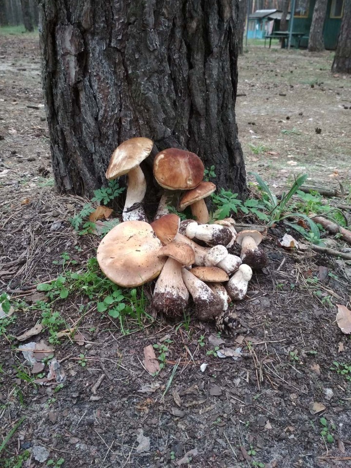 летний "улов"