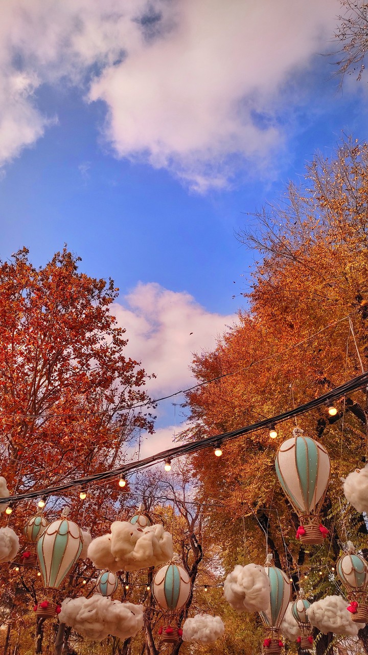 Autumn
