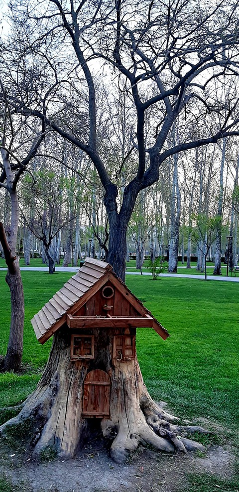 کلبه درختی
