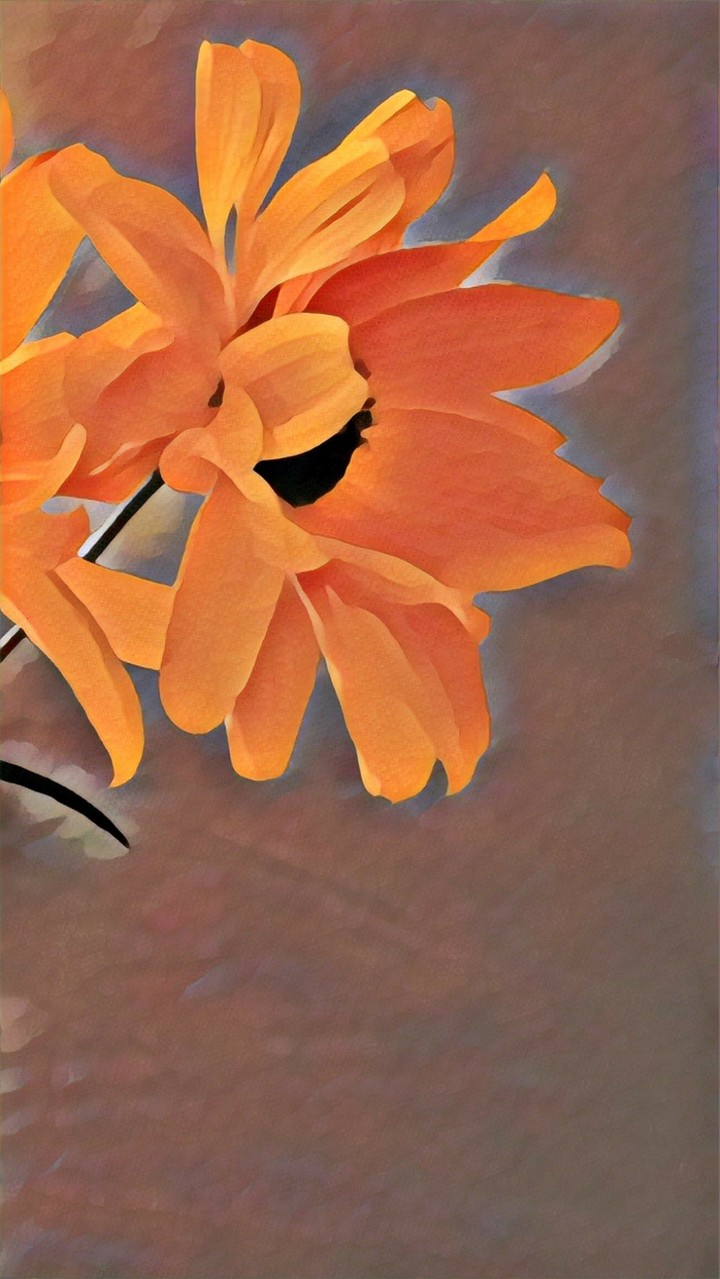 fire flower
