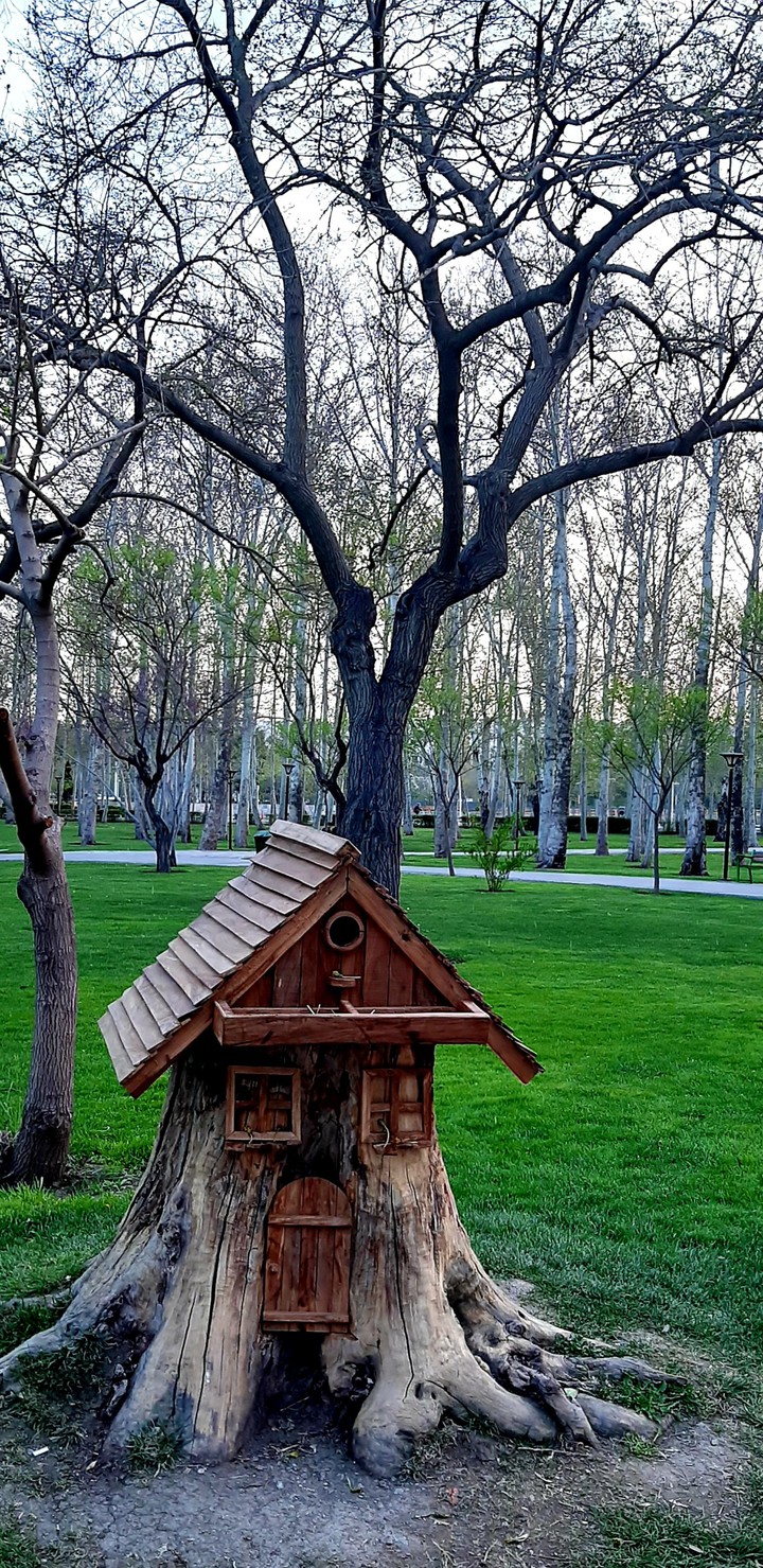 کلبه درختی