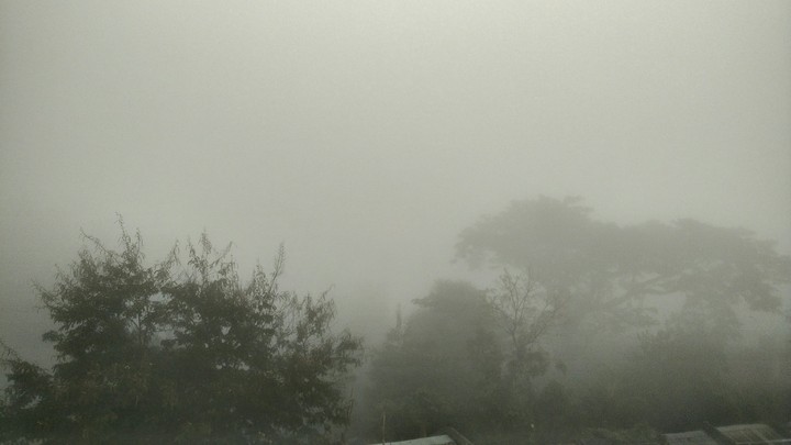 Foggy dawn