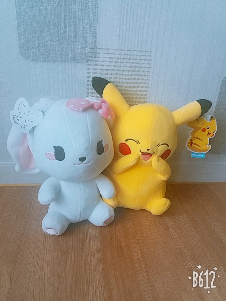 피카츄와 아기여우