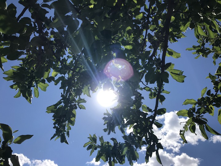 Summer