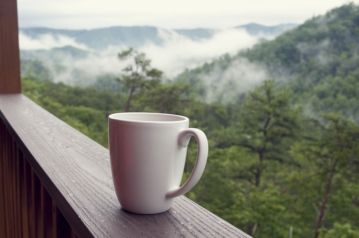 Cup