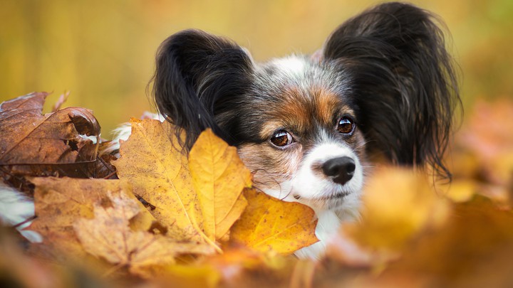 cute picture...