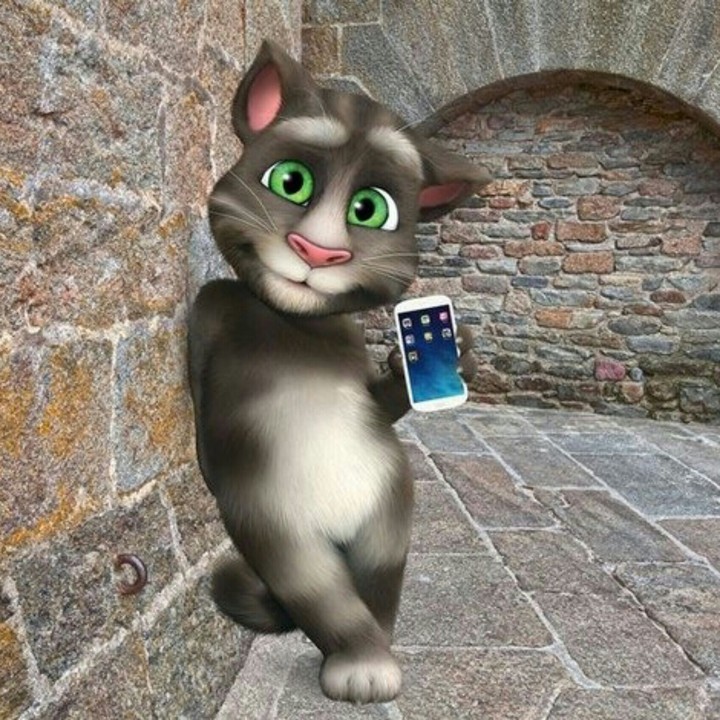 Talking Tom
