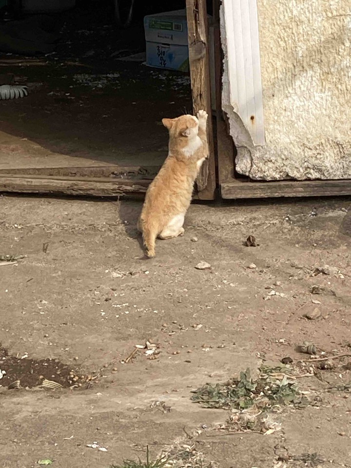 뷁