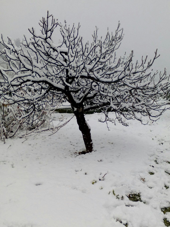 snow