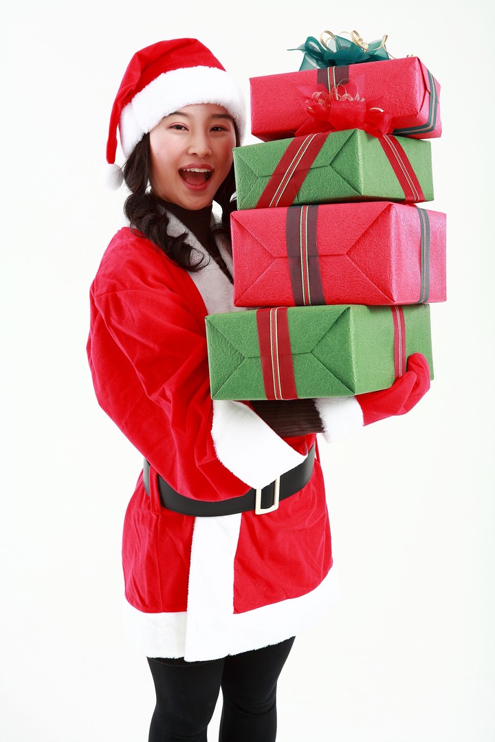 Christmas Costume