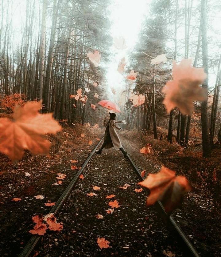 autumn