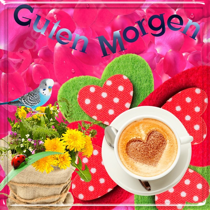 Guten Morgen