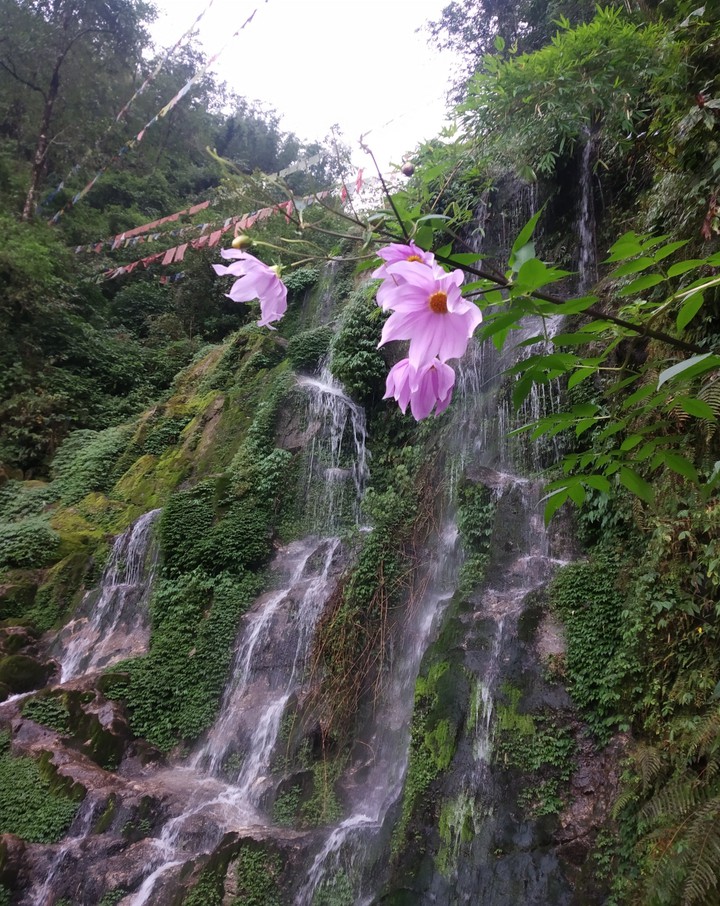 bakthang falls