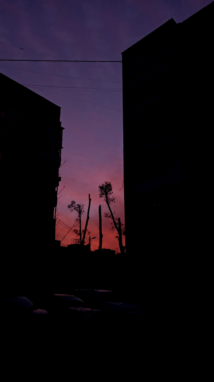 sunset