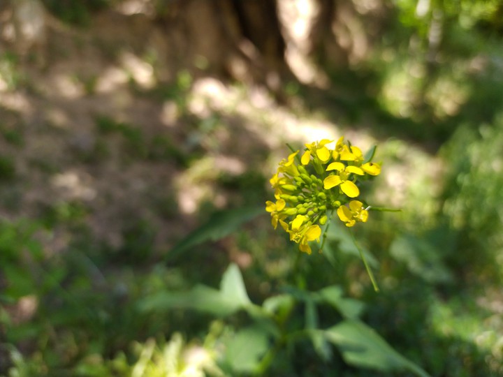 Nature