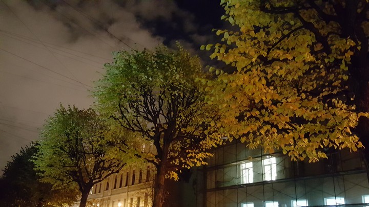 Санкт-Петербург