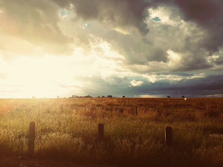 autumn afternoon in the Free State