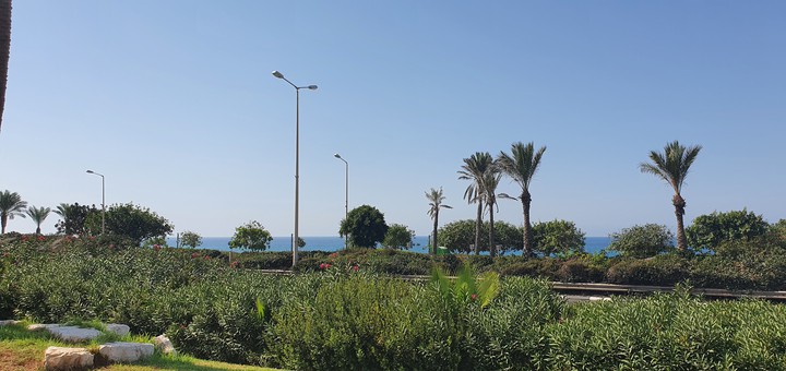 Haifa