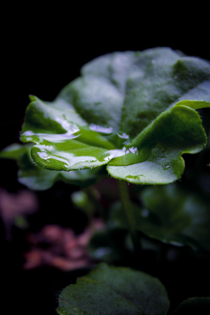 After rain