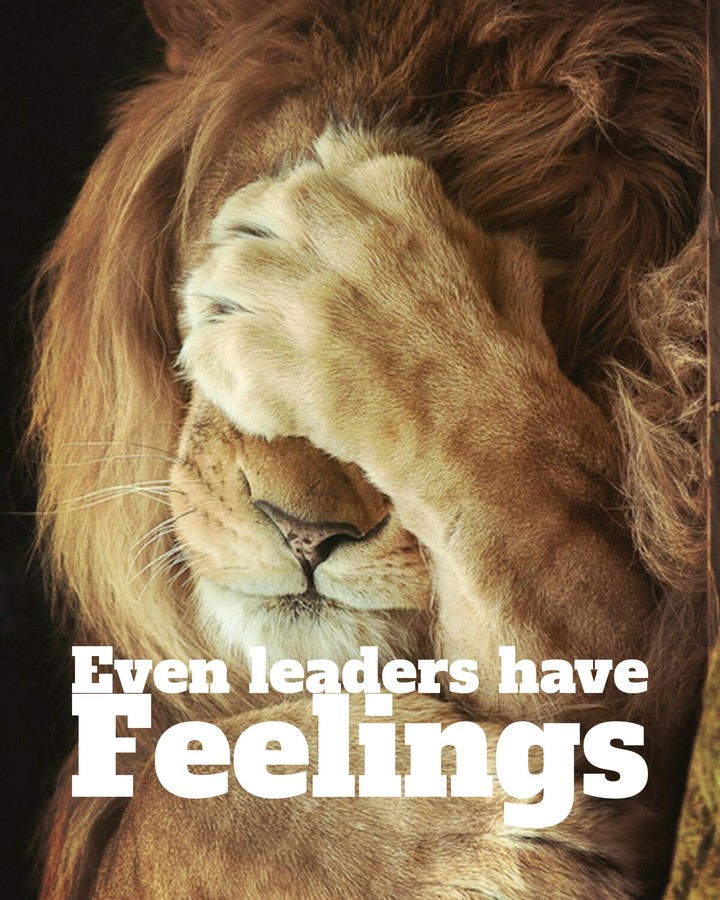 Feelings sad