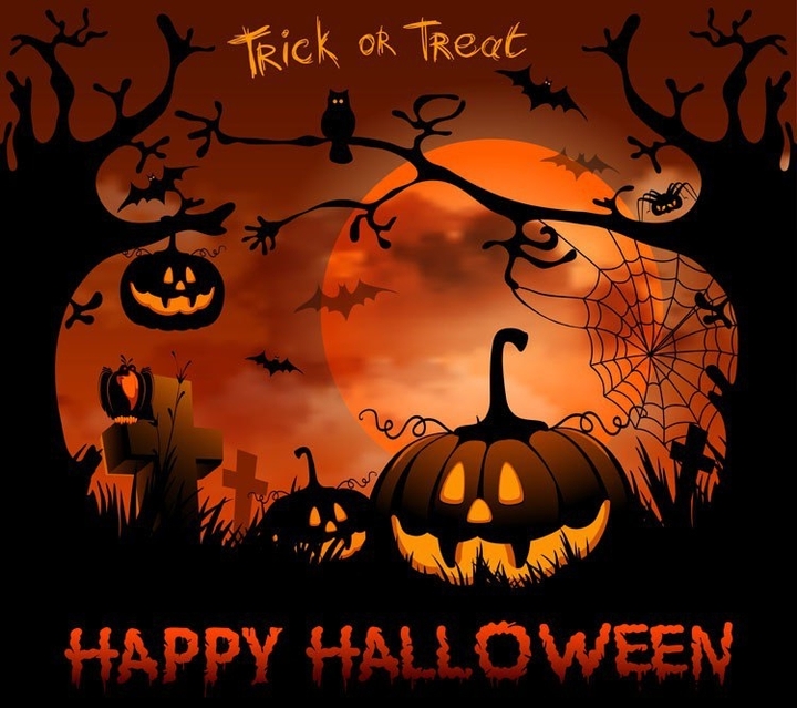 Trick or Treat ?!