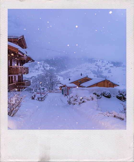 winter