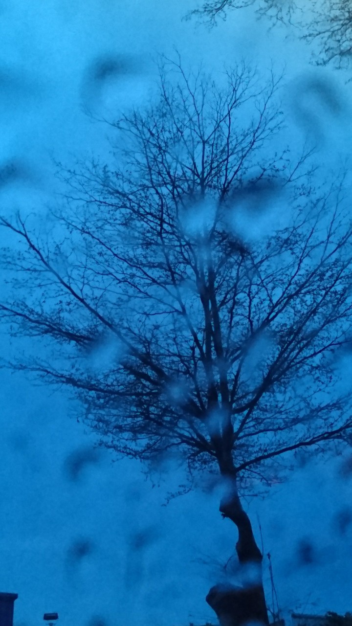 夜雨