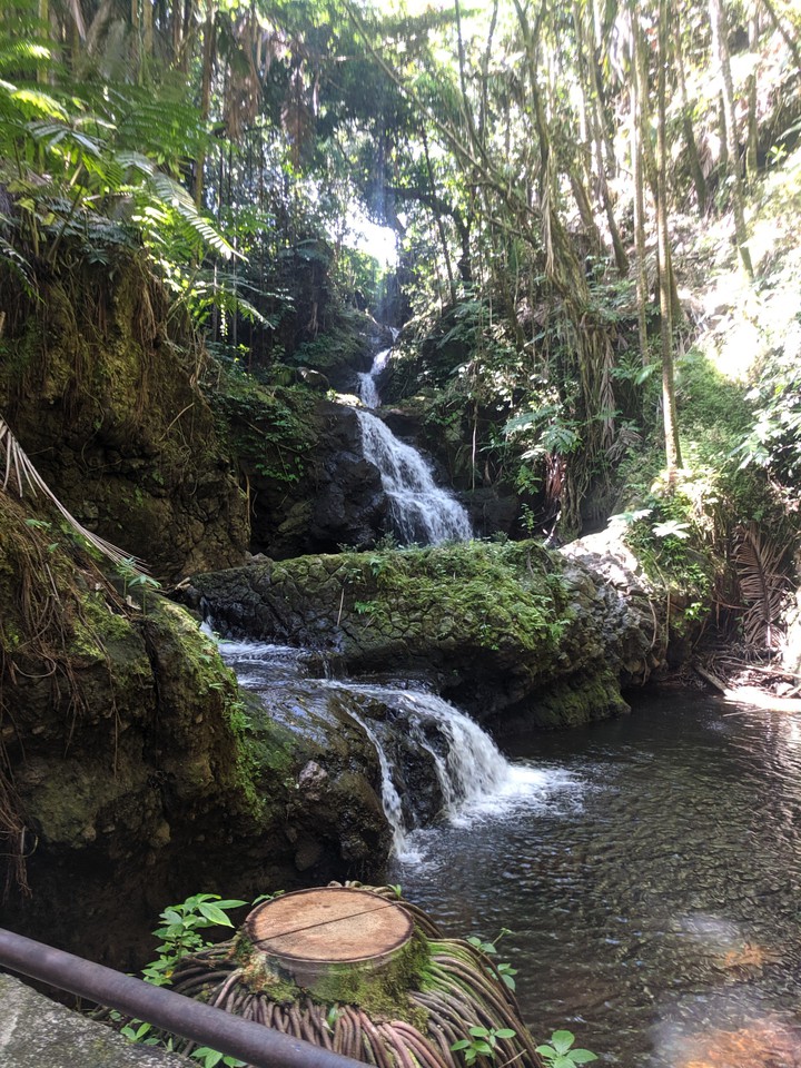 Hawai Tropical Botanical Gardens