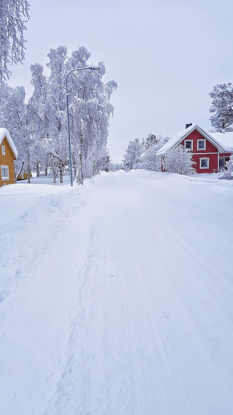 lapland houses