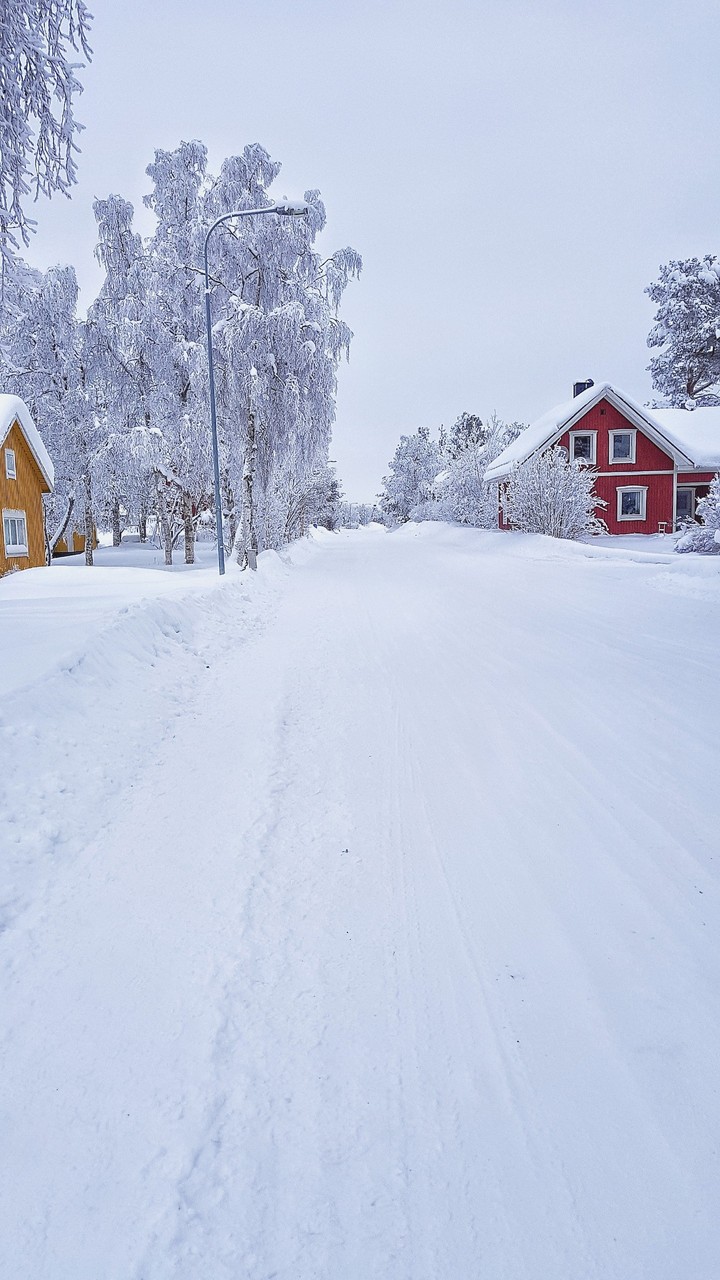 lapland houses