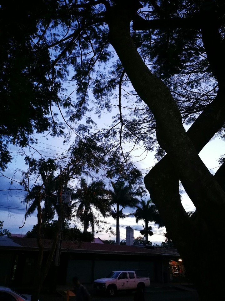 blue sky