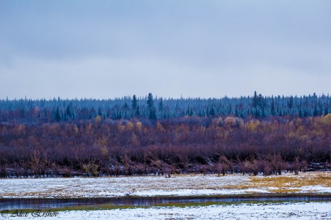 осень