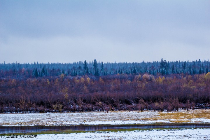 осень