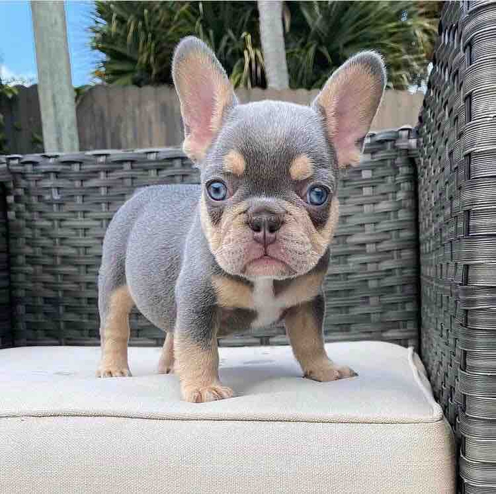 cute