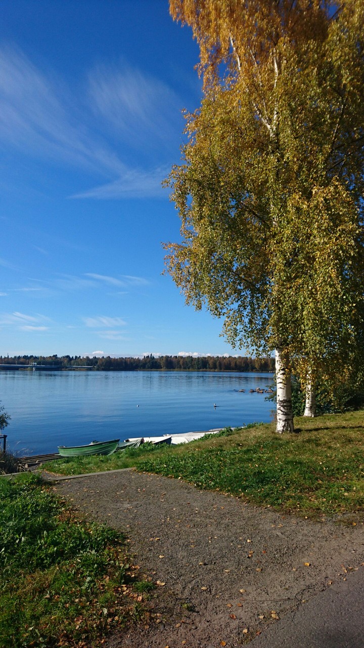 Finnish autum