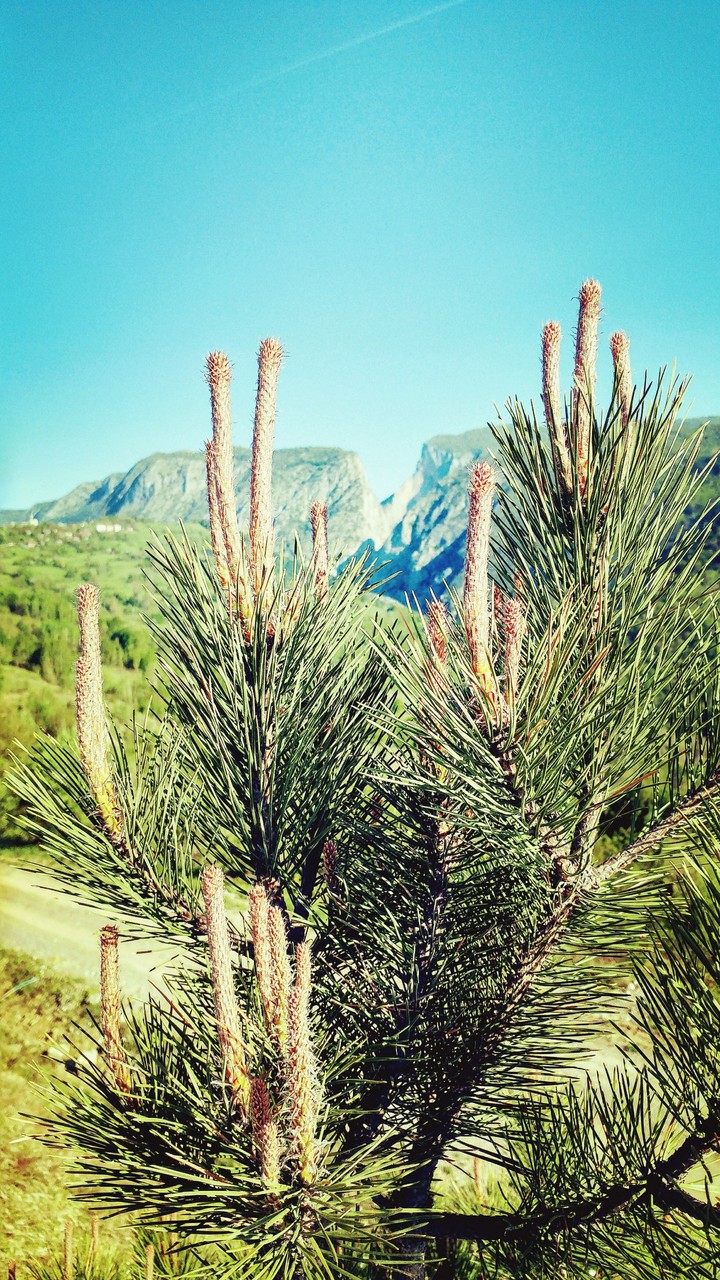 valley
