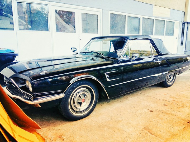 Thunderbird