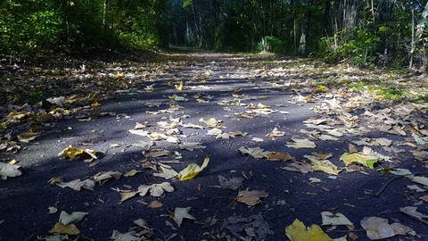 Wanderweg im Herbst