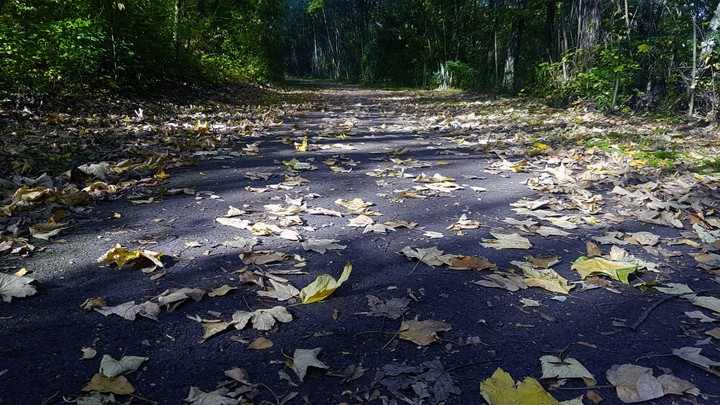 Wanderweg im Herbst