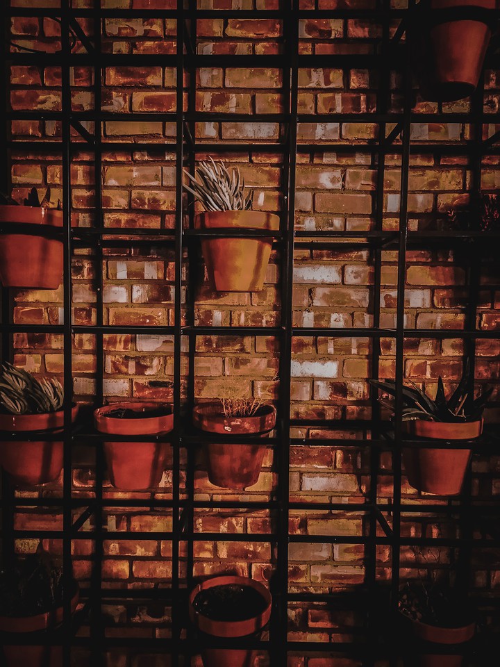 Flower pots