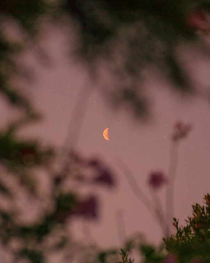 moon