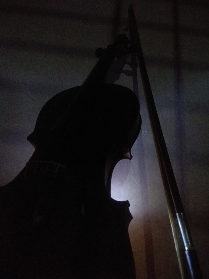 #violin