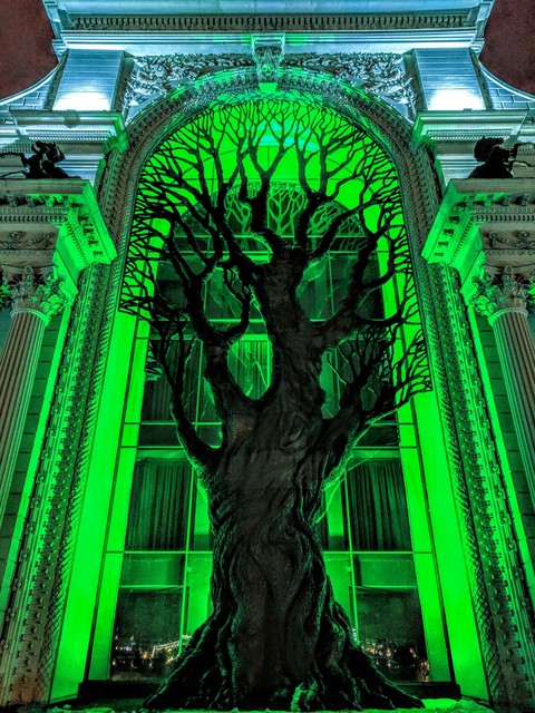 tree
