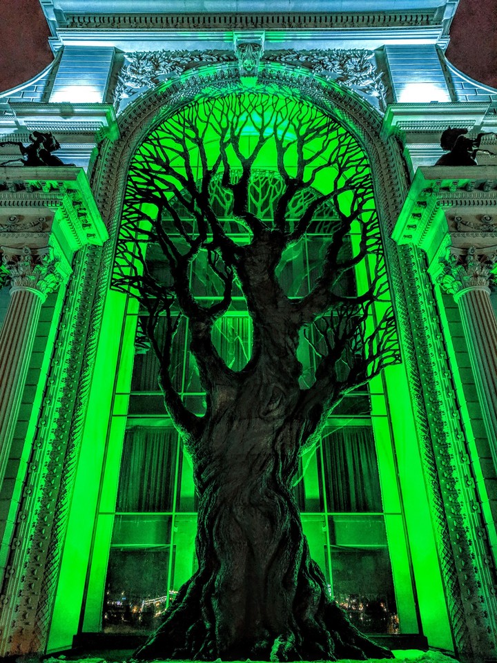 tree