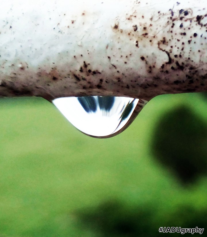 Water Drop