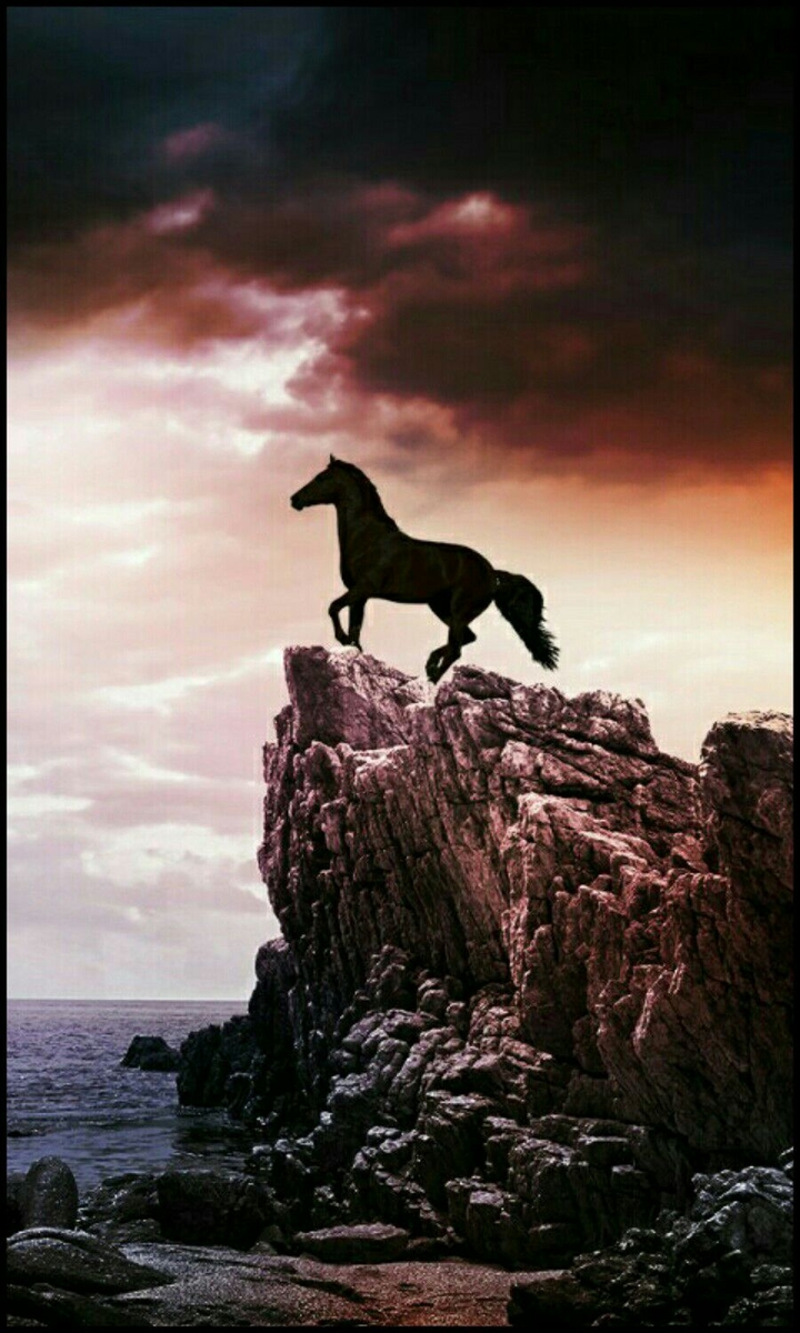 horse