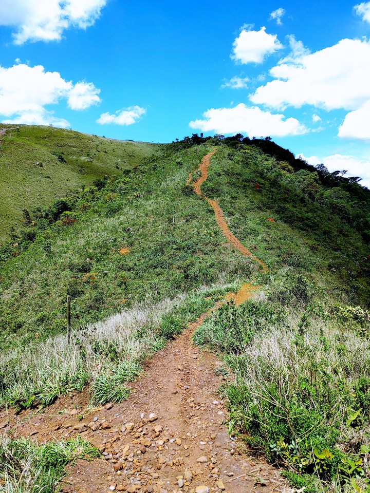Trilha