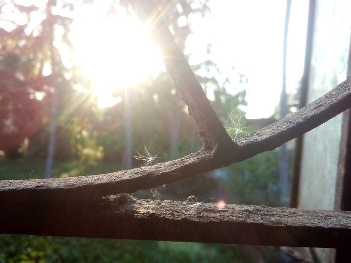 rusted
